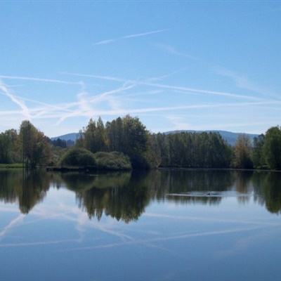 乐鱼APP手机app下载